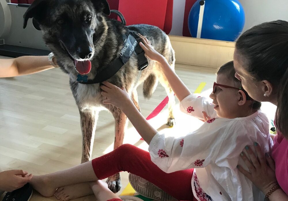 pet therapy a San Martino di Lupari